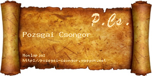 Pozsgai Csongor névjegykártya